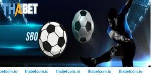 SBO Thể Thao - Sảnh Game Top 1 Tại THABET Cực Xanh Chín